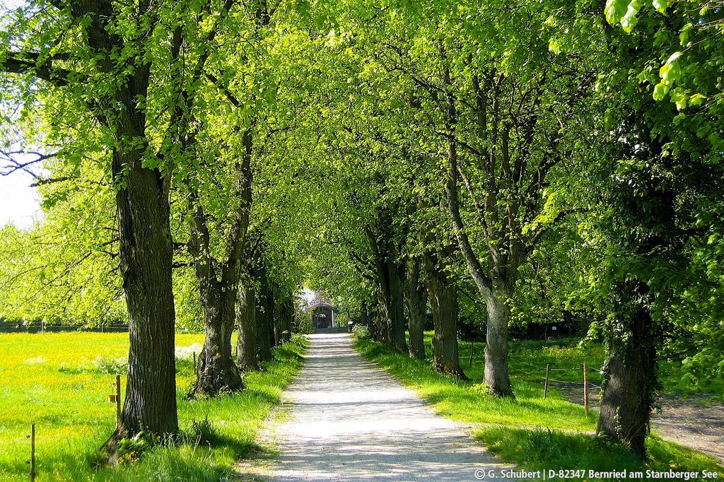 Landgasthof Drei Rosen Bernried am Starnberger See Extérieur photo